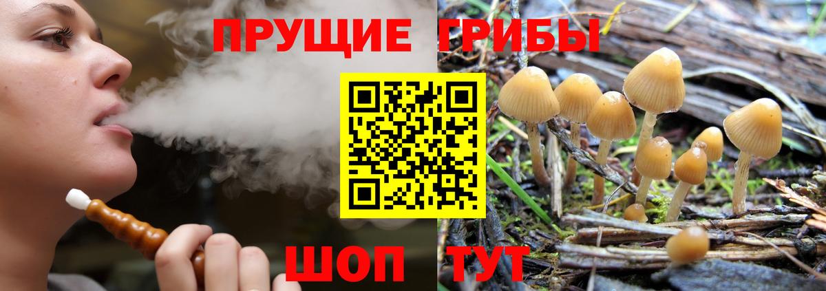 Галлюциногенные грибы мухоморы Славгород
