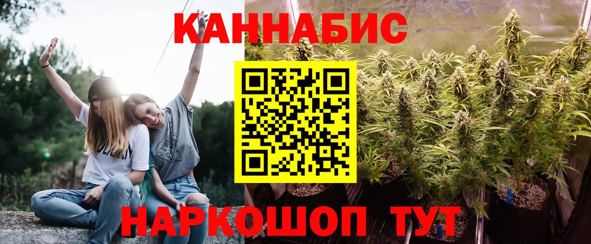 Шишки марихуана марихуана Славгород